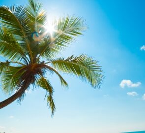 Barbados for Digital Nomads: Barbados Welcome Stamp
