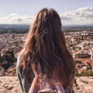 traveler