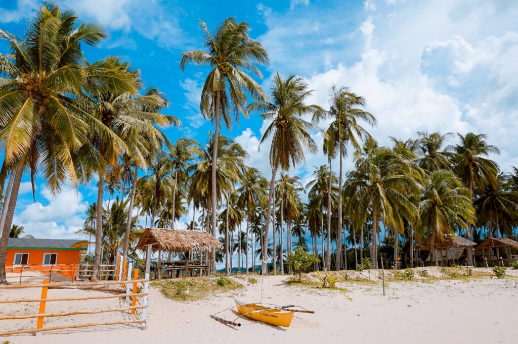 Travel to Virgin Islands without a Passport