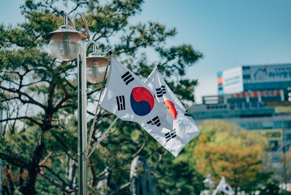 South Korea Healthcare _ The Blogler