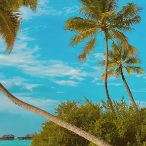 Digital Nomad Statistics
